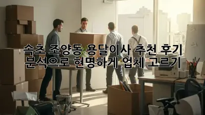속초 조양동 용달이사 추천: 후기 분석으로 현명하게 업체 고르기