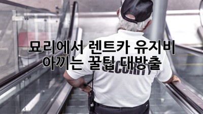 🚗 묘리에서 렌트카 유지비 아끼는 꿀팁 대방출! 🍯